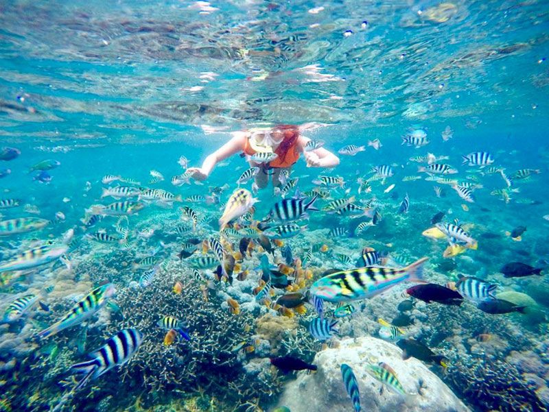 snorkelling